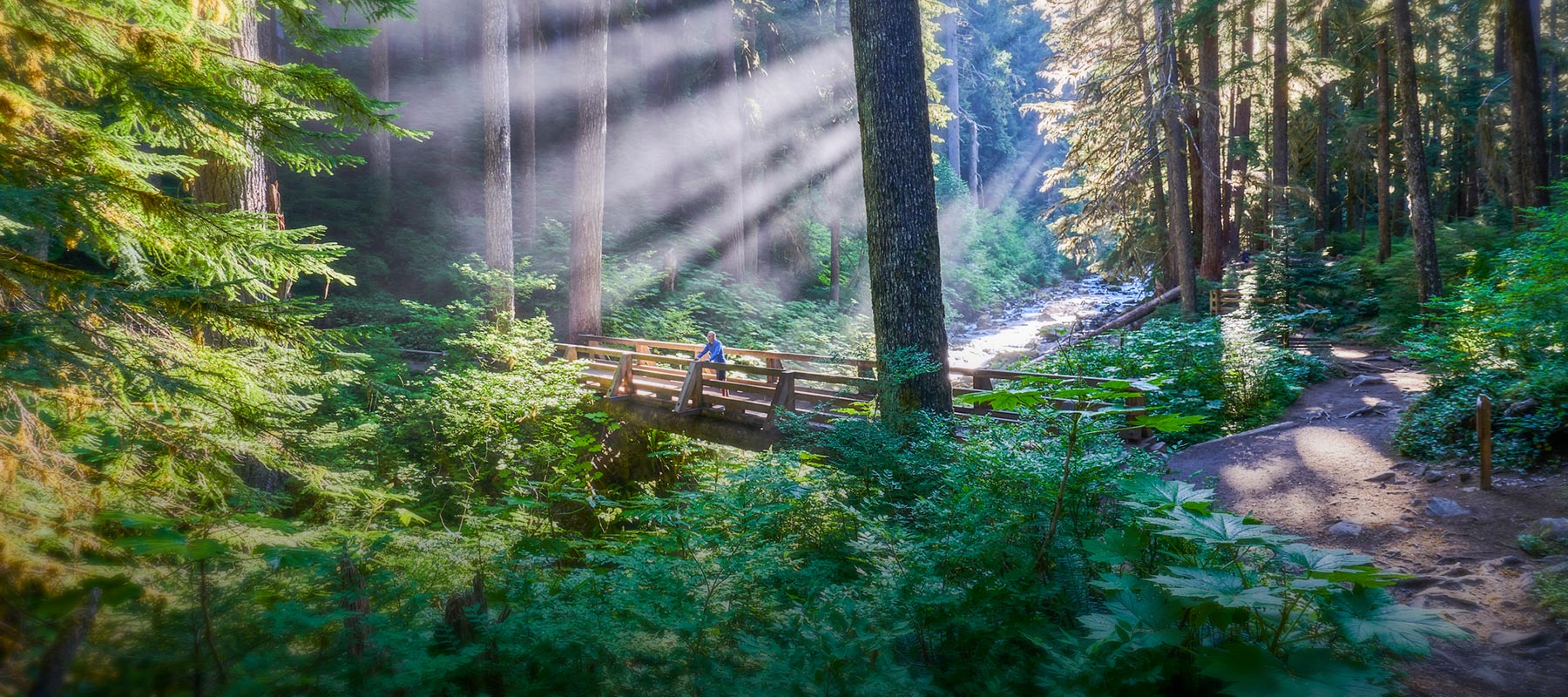 Man at Solduc Falls