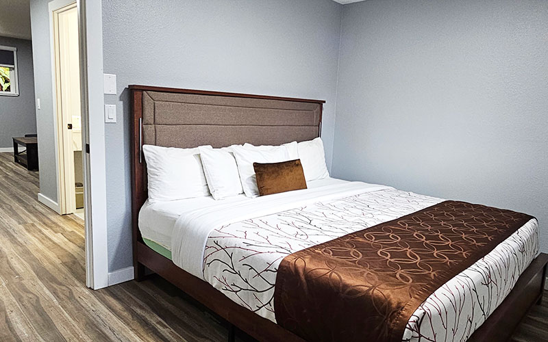 1 bed junior suite bed