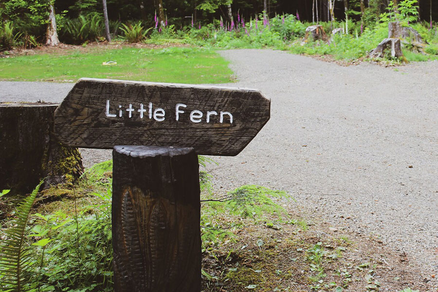 Littler Fern Camper sign