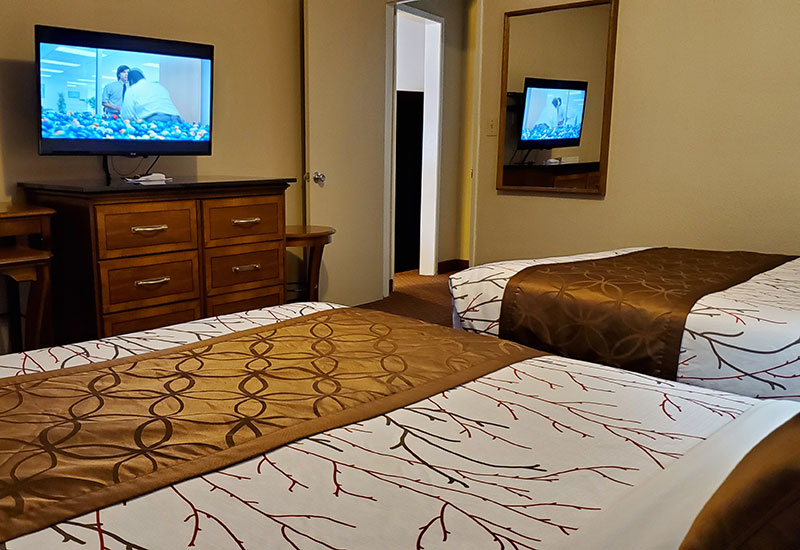 Executive Suite 2 beds