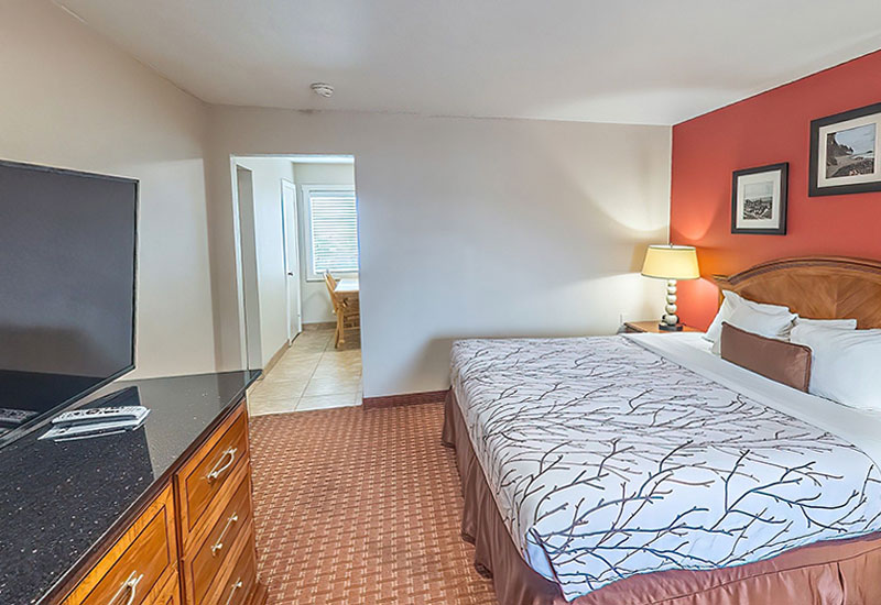 kitchen suite main room