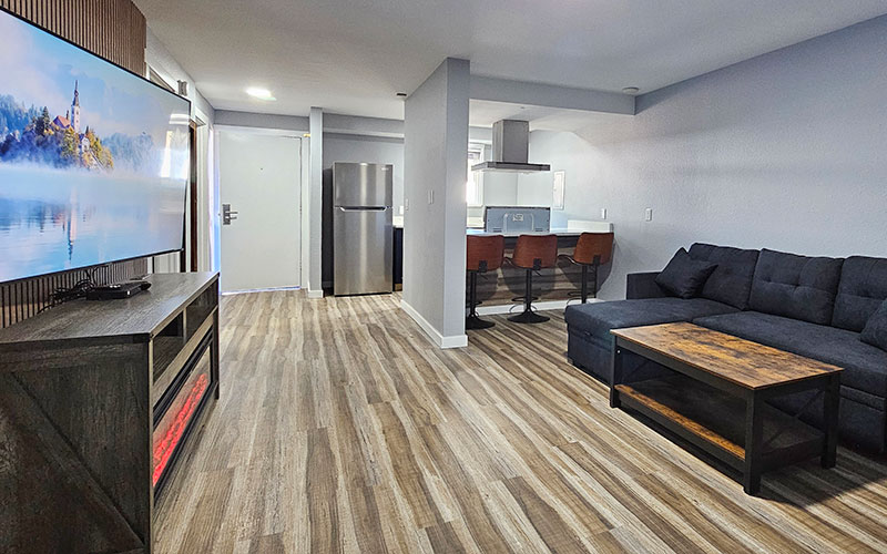 2 bedroom suite living room